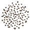 HARINA INTEGRAL